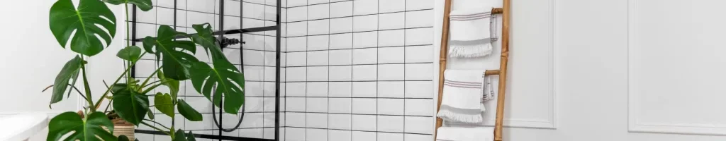 shower-bathroom-spec